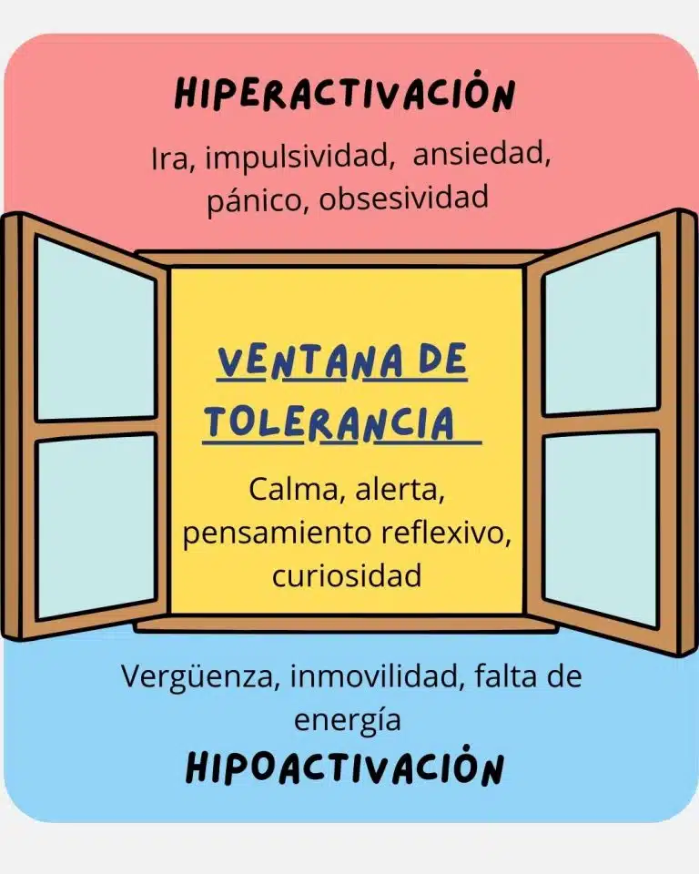 ventana de tolerancia